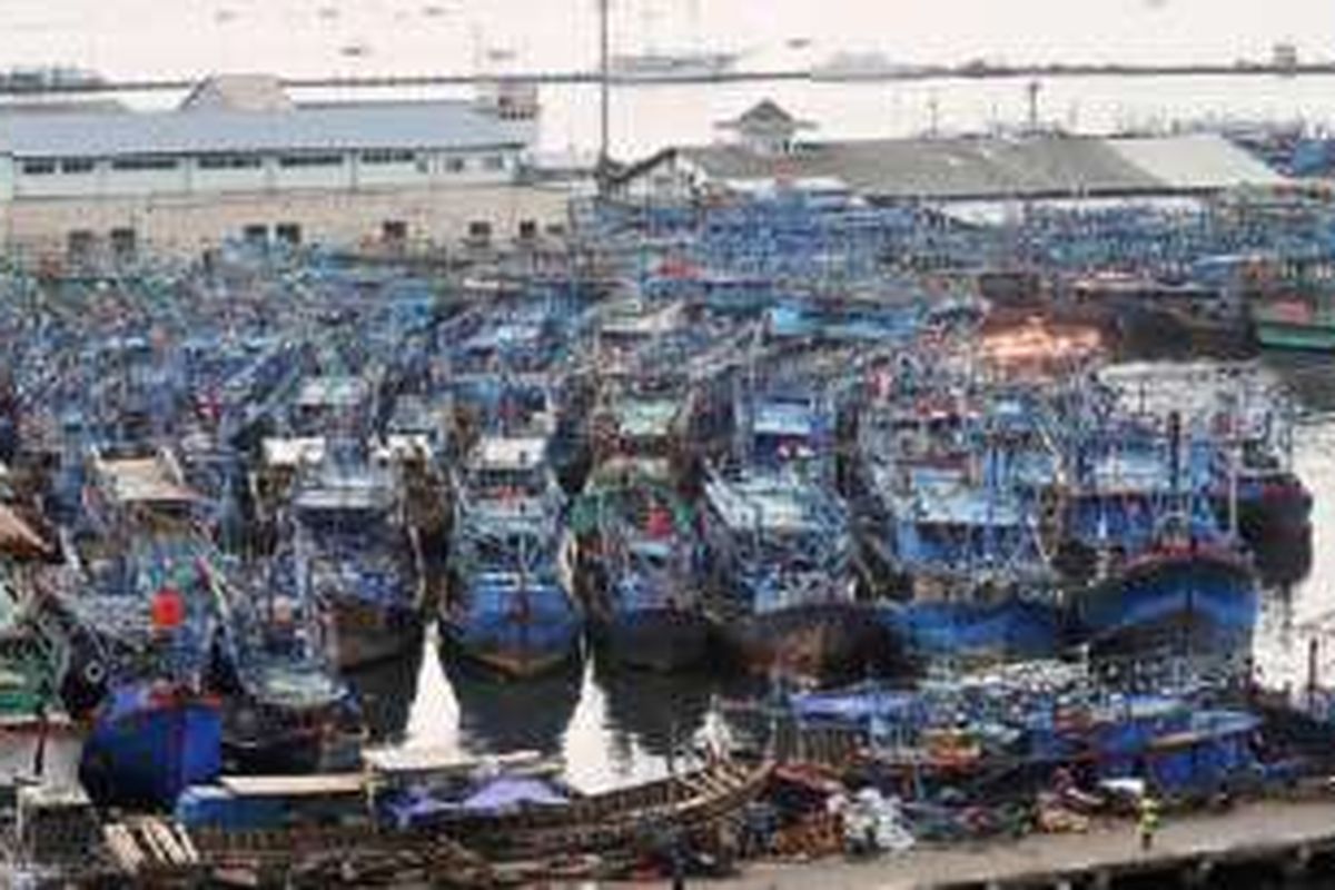 Kapal nelayan bersandar di Pelabuhan Muara Angke, Jakarta Utara, Selasa (17/1). Pemerintah Provinsi DKI Jakarta akan menyiapkan peraturan daerah setelah mendapat kewenangan dari Kementerian Perhubungan dalam pengelolaan kawasan Pelabuhan Muara Angke.