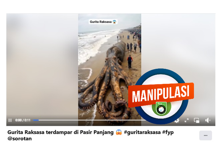 INFOGRAFIK: Video Gurita Raksasa Terdampar Merupakan Manipulasi AI