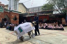 Sebelum dikurbakan, Kambing di Ponpes Sukabumi Ikuti Teatrikal