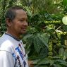 Cerita Petani Kopi di Lereng Gunung Merapi, Erupsi Jadi Berkah