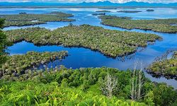 7 Situs Ramsar di Indonesia