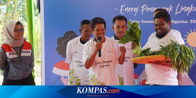 85 Program Desa Energi Berdikari Pertamina Sukses Turunkan 729.000 Ton Emisi Karbon