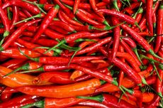 Kabar Terkini Kasus Illegal Logging Mentawai Bikin Rugi Negara Rp 447 M