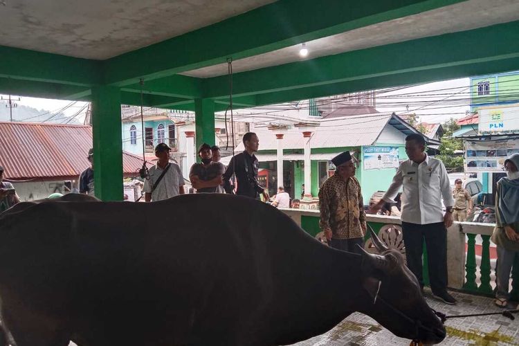 Gubernur Kepri Ansar Ahmad menyerahkan langsung dua ekor sapi kurban dari Presiden RI Joko Widodo (Jokowi) ke Bupati Kabupaten Kepulauan Anambas Abdul Haris.