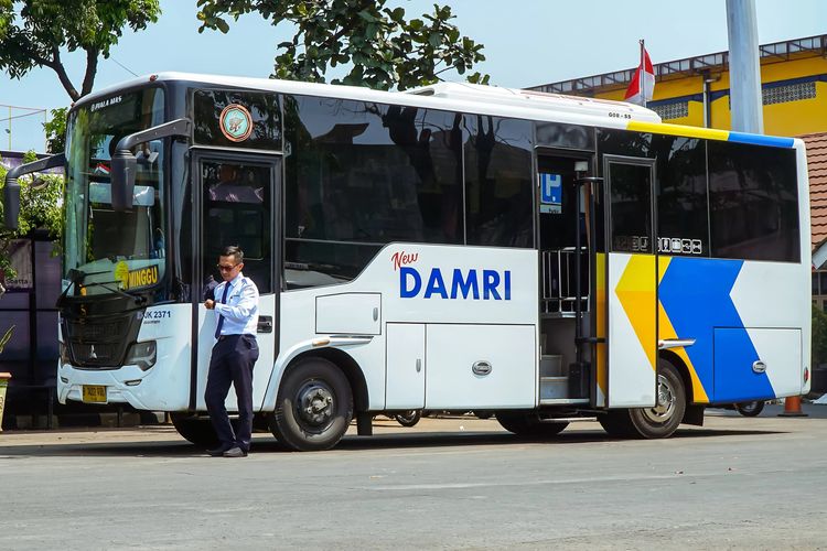 Ilustrasi bus DAMRI