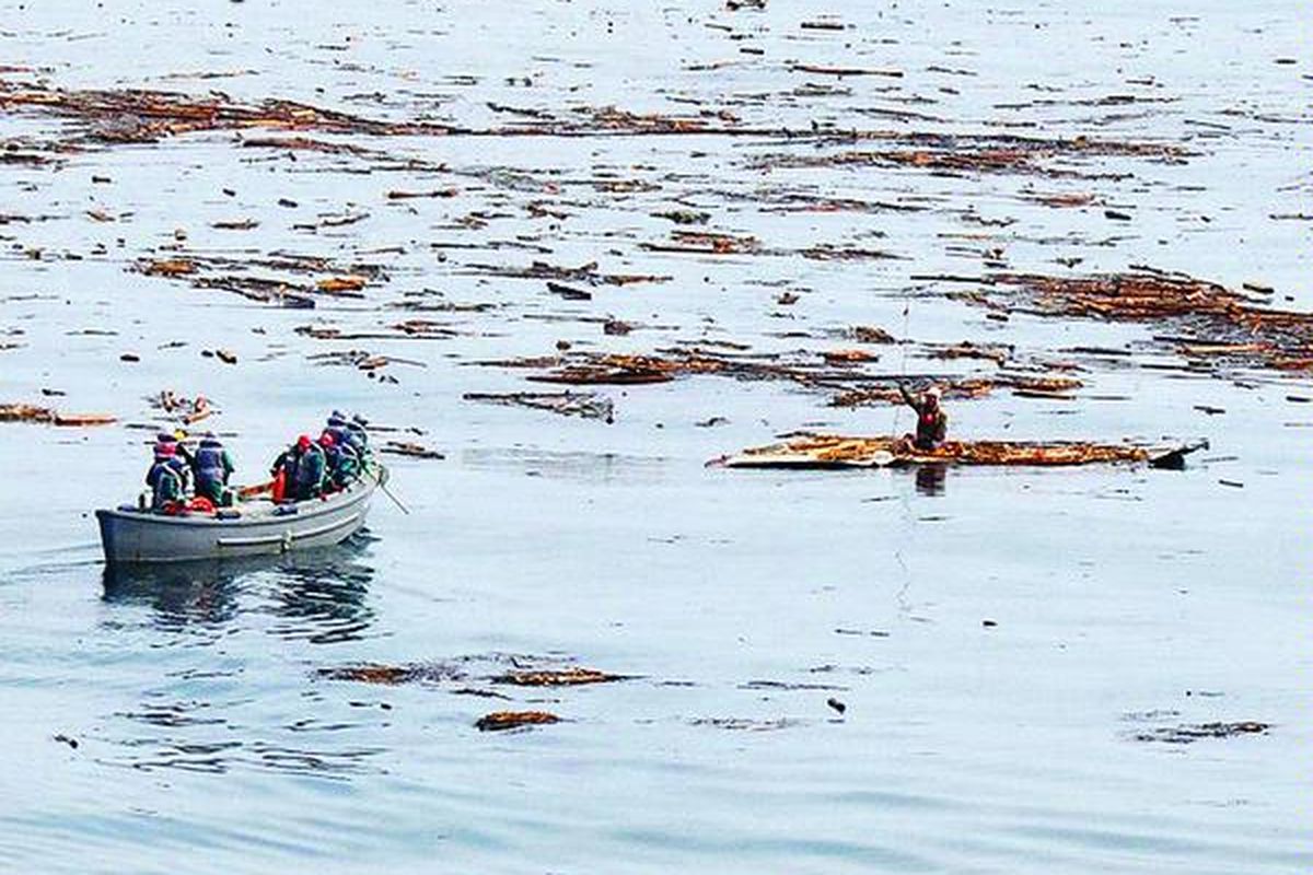 Foto yang disiarkan oleh Badan Pertahanan Jepang memperlihatkan Hiromitsu Shinkawa yang berusia 60 tahun diselamatkan oleh anggota Pasukan Bela Diri Maritim Jepang sekitar 15 kilometer di lepas pantai Prefektur Fukushima, Minggu (13/3). Shinkawa ditemukan selamat di atas potongan atap kayu rumah, dua hari setelah gempa dahsyat yang disusul tsunami. Tsunami mengempas rumah Shinkawa dan menyeret Shinkawa berikut rumahnya jauh ke laut.
