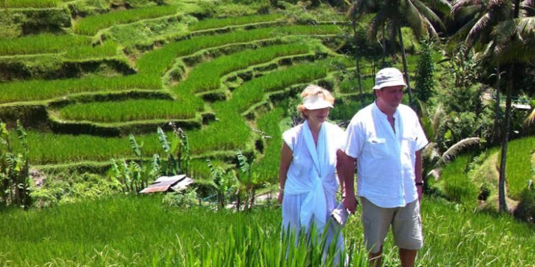 Turis mancanegara di kawasan persawahan Desa Kedisan, Kecamatan Tegalalang, Kabupaten Gianyar, Bali, Minggu (22/11/2015). 