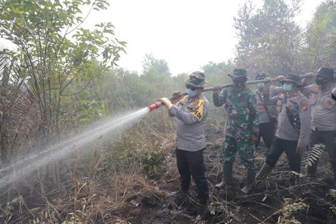 Situasi Terkini Karhutla Riau, Masih Ada 11 Hamparan Titik Api yang Belum Padam