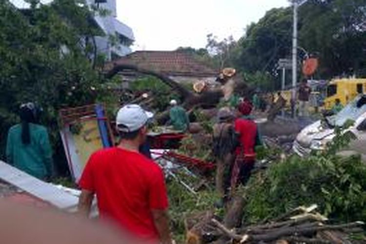 Pohon besar tumbang di depan Masjid Sunda Kelapa, Menteng, Jakarta Pusat, Jumat (25/10/2014).