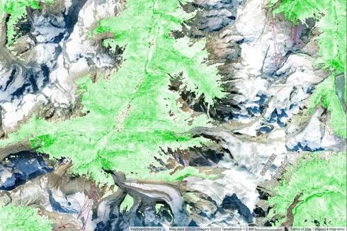 Citra Satelit Tunjukkan Pegunungan Alpen Berubah Warna dari Putih Salju ke Hijau, Apa Penyebabnya?