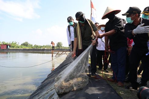 Menkop UKM Dorong Pemberdayaan Tambak Udang Melalui Koperasi dan Kemitraan