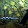 Penyelam Amatir Temukan Harta Karun Peninggalan Kekaisaran Romawi saat Bersihkan Sampah Dasar Laut
