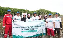 Cegah Abrasi dan Lindungi Masyarakat, PTPP Tanam 1.000 Mangrove di Pesisir Tambakrejo