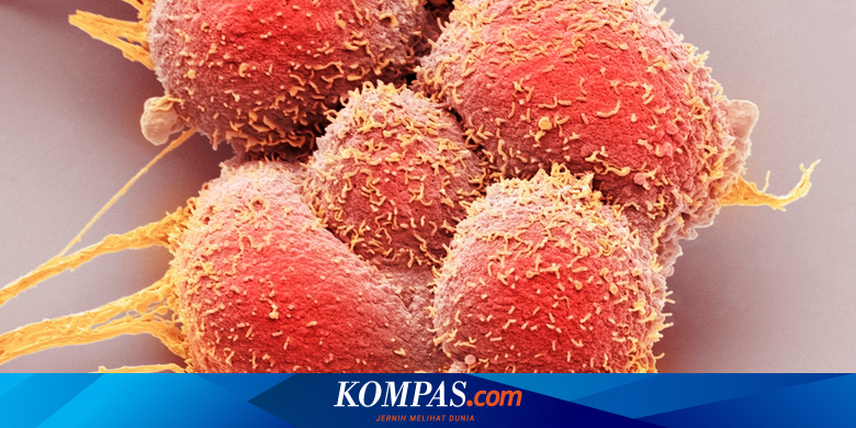 Cancer-Causing Foods and Drinks