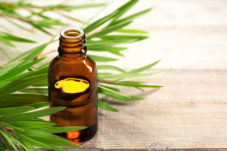 Selain Melawan Jerawat, Apa Saja Manfaat Tea Tree Oil? Halaman all - Kompas.com