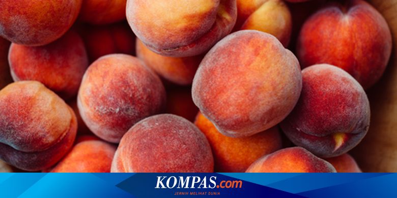 Menurutmu Bagian Mana Dari Buah Yang Dikatakan Hasil