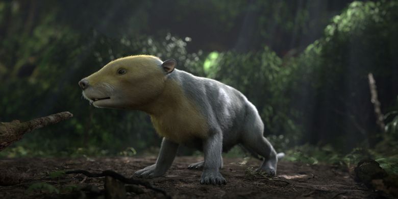 Mamalia Taeniolabis kuno, yang hidup setelah kepunahan massal yang memusnahkan dinosaurus 66 juta tahun yang lalu.
