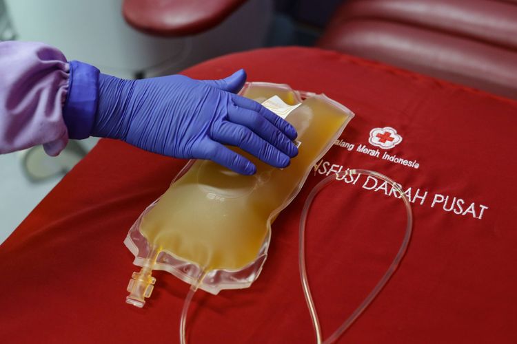 Plasma konvalesen hasil donor dari penyitas covid-19 di Unit Donor Darah Pusat PMI, Jakarta, Senin (12/7/2021). Stok persediaan plasma konvalesen di UDD PMI yang membantu penderita covid-19 sangat minim.