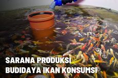 Mengetahui Sarana Produksi dalam Budidaya Perikanan