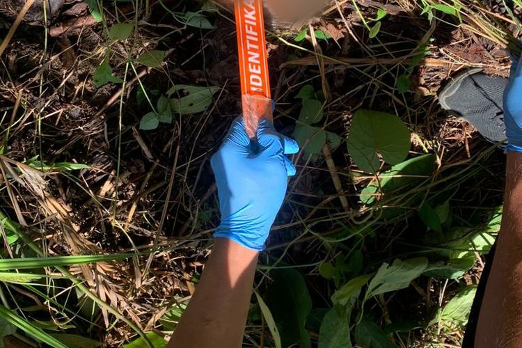 Kepolisian Resor Nias Selatan, Sumatera Utara , kembali mendapatkan laporan adanya penemuan bagian tubuh korban berinisial SL tak jauh dari lokasi pertama jenazah korban pertama kali ditemukan.