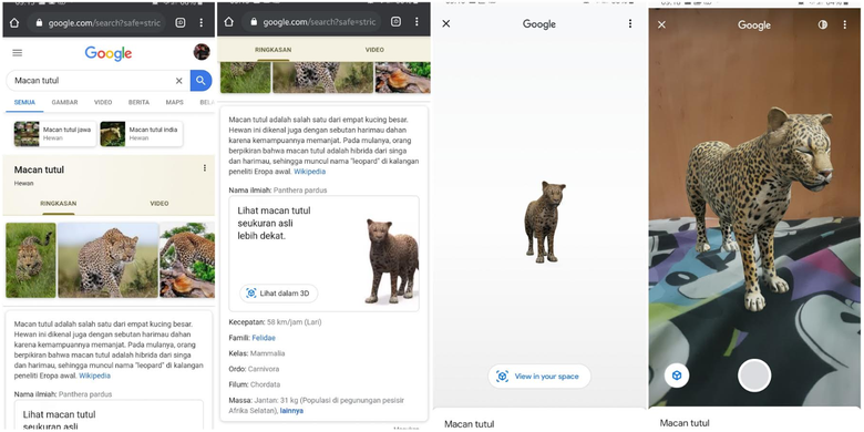 Cara menampilkan seekor binatang di pencarian Google.