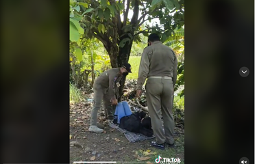 Viral, Video Perempuan Ditinggal Teman Prianya Masuk ke Rawa Saat ...