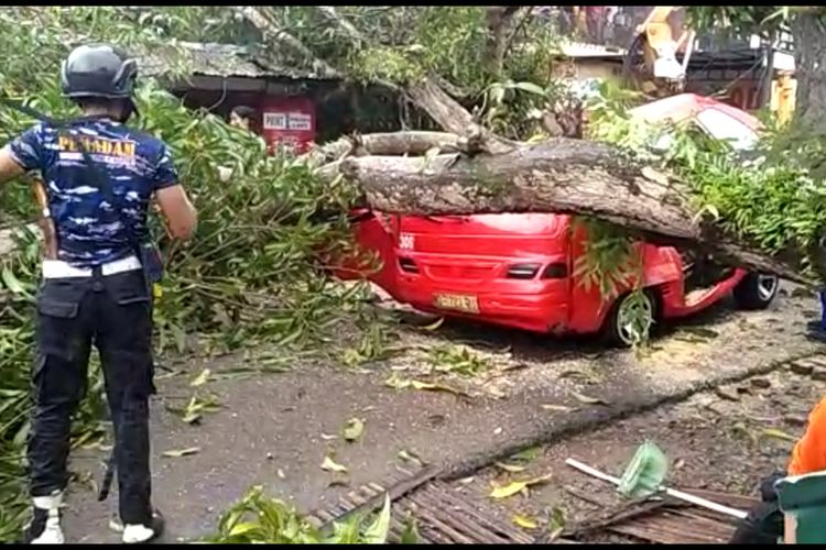 Sejumlah petugas dibantu warga di Kabupaten Takalar, Sulawesi Selatan berusaha mengevakuasi seorang sopir angkot yang tewas terjepit kendaraannya yang ringsek ditimpa pohon mangga. Rabu, (10/3/2021).