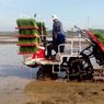 Indonesia Didorong Jadi Lumbung Pangan Dunia Lewat Studi Pertanian