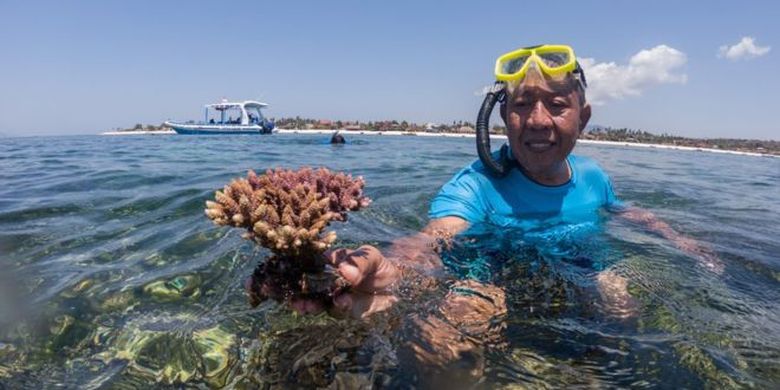 Agus Joko Supriyatno membudidayakan terumbu karang sebelum ekspor dilarang tahun 2018. 