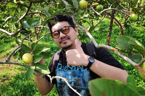 6 Aktivitas di Kusuma Agrowisata di Kota Batu, Petik Buah dan Selfie