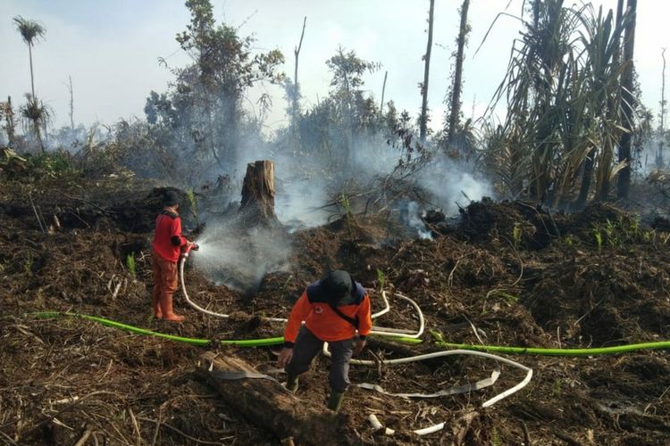 Tim satgas karhutla memadamkan titik api karhutla di Kabupaten Pelalawan, Riau, Senin (29/6/2020) sore. dok. BPBD Pelalawan