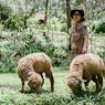 Boemisora, Tempat Wisata Baru di Semarang Bisa Camping dan Beri Makan Hewan