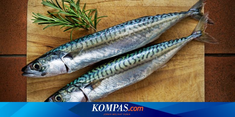 Tips Dari Chef Cara Bedakan Ikan Makarel Dengan Sarden Halaman All Kompas Com