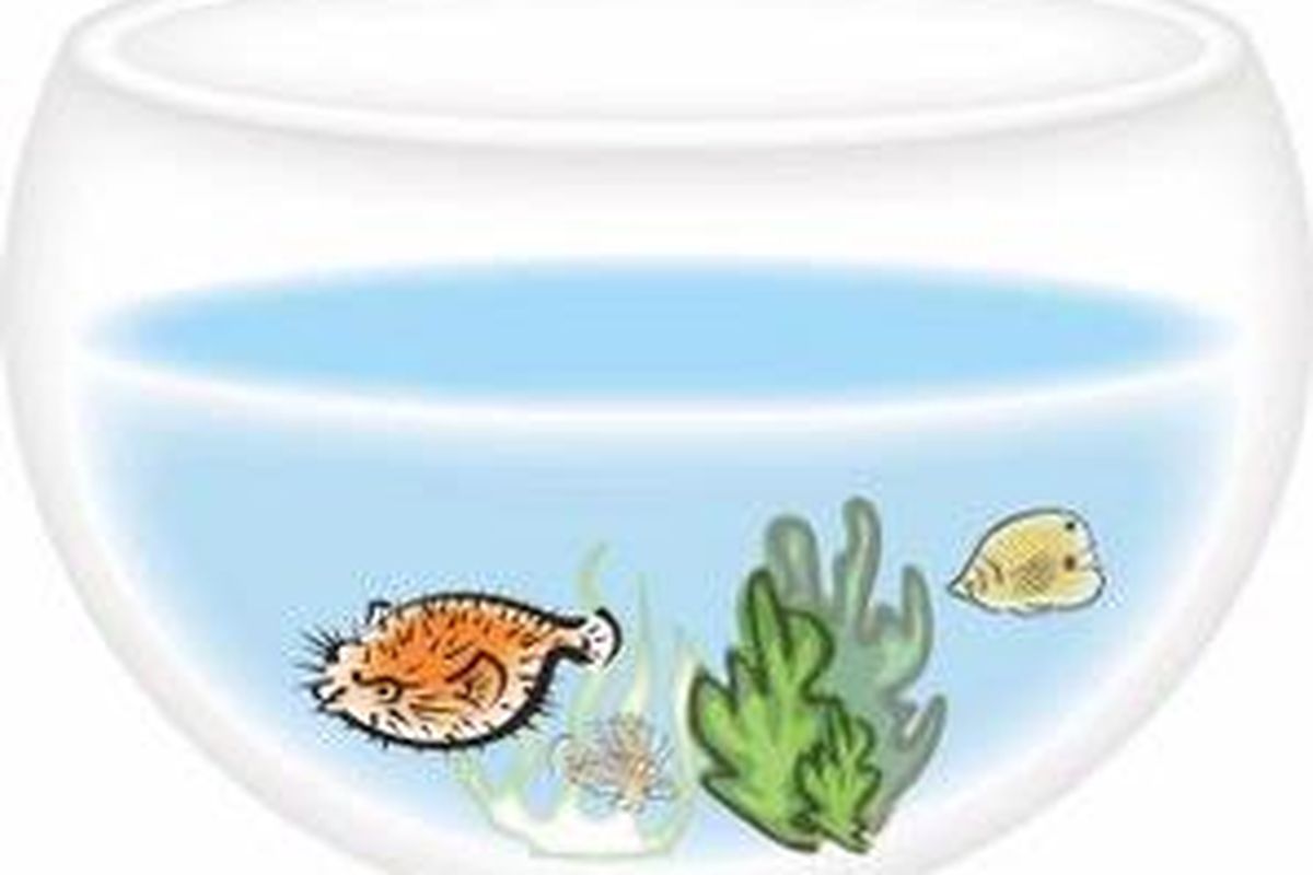 ilustrasi akuarium