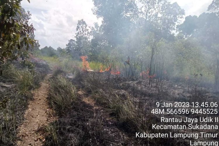 Lokasi kebakaran hutan TNWK di Seksi I Way Kanan, Senin (9/1/2023) siang. Lebih dari 30 hektare hutan terbakar.