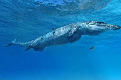 Seganas Dinosaurus, Inilah Rupa Penguasa Lautan di Era Jurasik