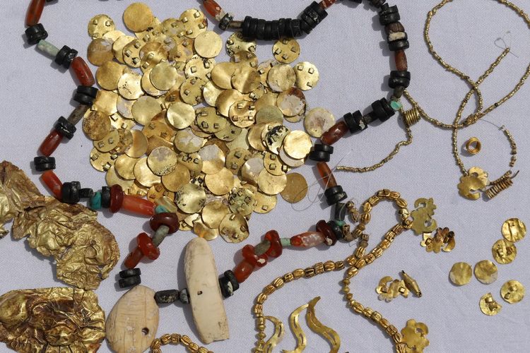 Analisis DNA Bongkar Rahasia Kasta Kuno Suku Pengendara Kuda Scythia