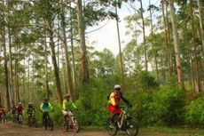 Agustus Mendatang, Ikutan Gowes di Ajang Toba Granfondo 