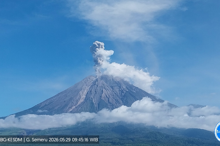 Gunung Semeru Erupsi 21 Kali, Letuskan Asap Tebal Setinggi 1.000 Meter