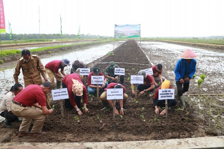 Pemerintah Kabupaten Kulon Progo meluncurkan lahan surjan baru di Bulak Pelem Sewu, Kalurahan Garongan, Kapanewon Panjatan, Kabupaten Kulon Progo, Daerah Istimewa Yogyakarta, Selasa (1/11/2022). Lahan surjan bertingkat dan tampak membentuk lajur memanjang. Dalam penanaman perdana, cabai ditanam di tanah atas, padi di bawah. Penjabat Bupati Kulon Progo, Tri Saktiyana dan jajarannya menanam benih cabai dan padi di sana.