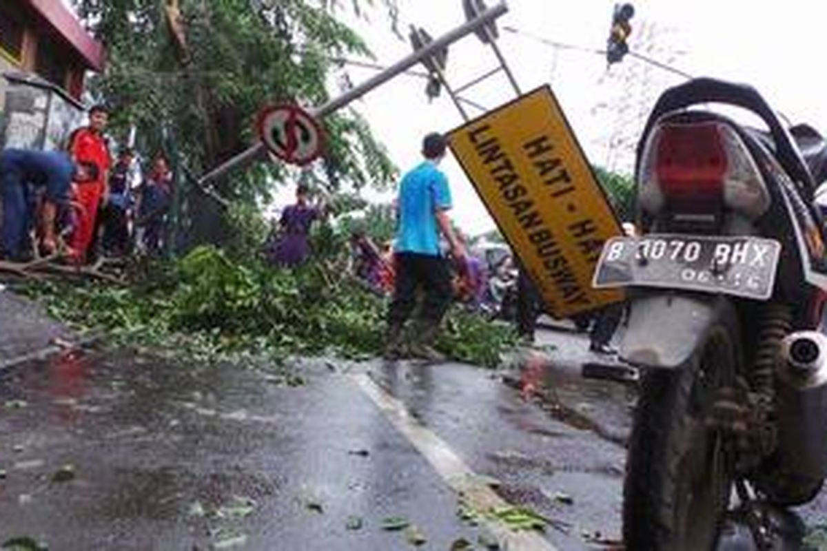 Hujan disertai angin kencang di wilayah Jakarta Timur menyebabkan sebuah pohon Angsana di Jalan Letjen Sutoyo, Cililitan, Kramat Jati, Jakarta Timur, tumbang, Kamis (25/4/2013) siang. Sebanyak tiga unit motor yang ada di bawahnya tertimpa pohon itu.