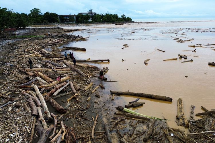 BANJIR SUMBAR: Sejumlah warga berjalan di antara potongan kayu gelondongan yang bertumpuk di pantai Air Tawar, Padang, Sumatera Barat, Jumat (28/11/2025). Sampah kayu gelondongan itu menumpuk di sepanjang pantai Padang pasca banjir bandang beberapa hari terakhir. 