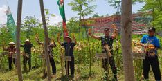 Di Dorong Kementan, Petani Lumajang Kini Dapat Panen Jagung