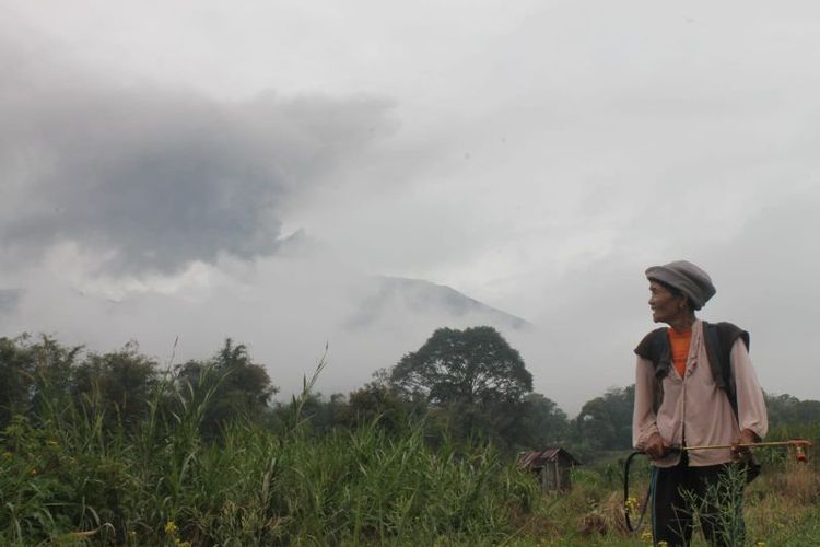 Seorang petani di Kabupaten Agam beraktivitas saat Gunung Marapi erupsi. Pusat Vulkanologi dan Mitigasi Bencana Geologi (PVMBG) menerbangkan Thermal Drone untuk pemantauan area panas di kawasan puncak gunung, Selasa (16/1/2024). 