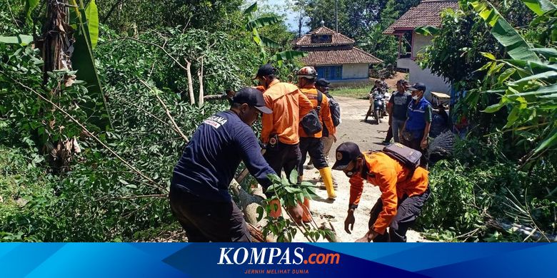 Akibat Hujan Deras dan Pohon Tumbang, Belasan Rumah di Cianjur Rusak dan Terisolir - Vimarsana News