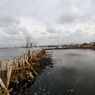 Teluk Jakarta Tercemar Parasetamol, Ini Dugaan Penyebab dan Dampaknya