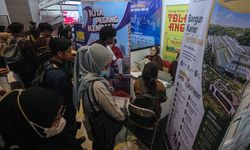 Bonus Demografi di Tengah Krisis Lapangan Kerja Berkualitas
