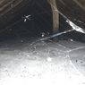 Petani Merana 3 Tahun Berton-ton Garam Mengendap di Gudang Dipenuhi Sarang Laba-laba