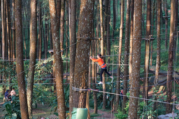 Kopeng Treetop,  salah satu tempat wisata Salatiga.