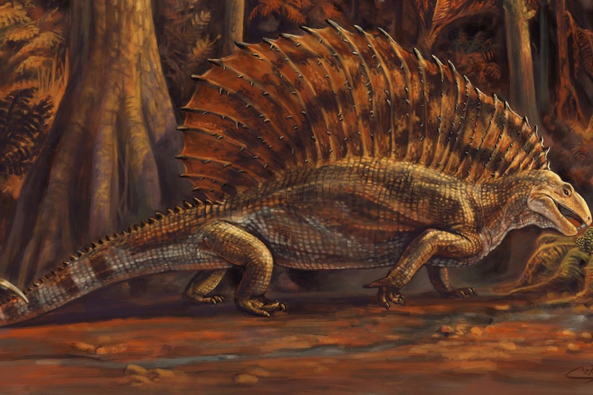 Mirip dinosaurus, reptil tertua ini sebenarnya sepupu jauh hewan herbivora modern. Gordodon kraineri hidup 300 juta tahun yang lalu, jauh sebelum dinosaurus ada.